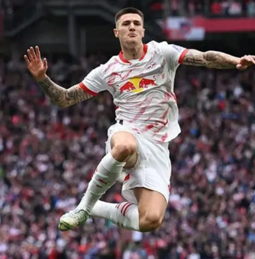 希勒质疑与萨哈乐观：曼联新援舍什科的多面审视